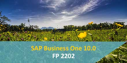 SAP Business One 10.0: FP2202 is available